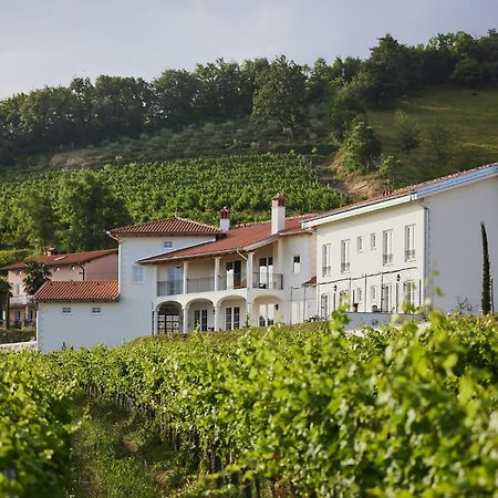 مبيت وإفطار Kojsko Peterc Vineyard Estate المظهر الخارجي الصورة