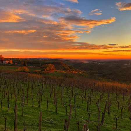 مبيت وإفطار Kojsko Peterc Vineyard Estate المظهر الخارجي الصورة