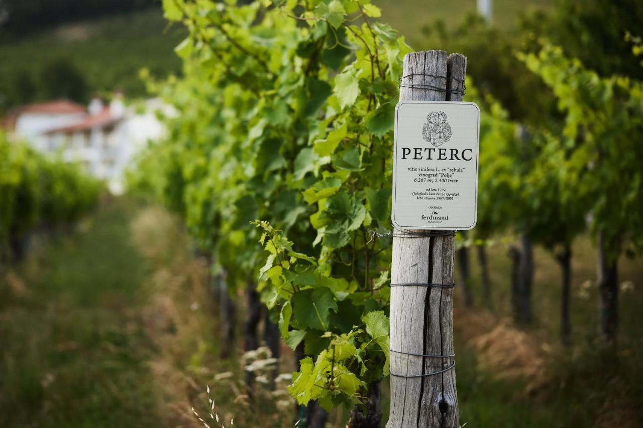 مبيت وإفطار Kojsko Peterc Vineyard Estate المظهر الخارجي الصورة