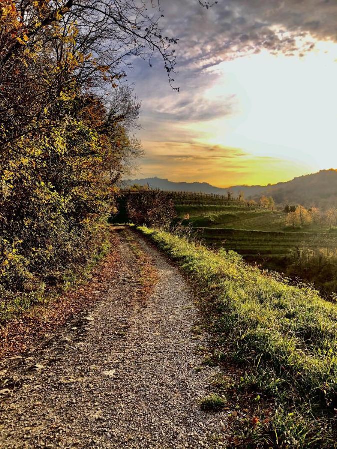 مبيت وإفطار Kojsko Peterc Vineyard Estate المظهر الخارجي الصورة