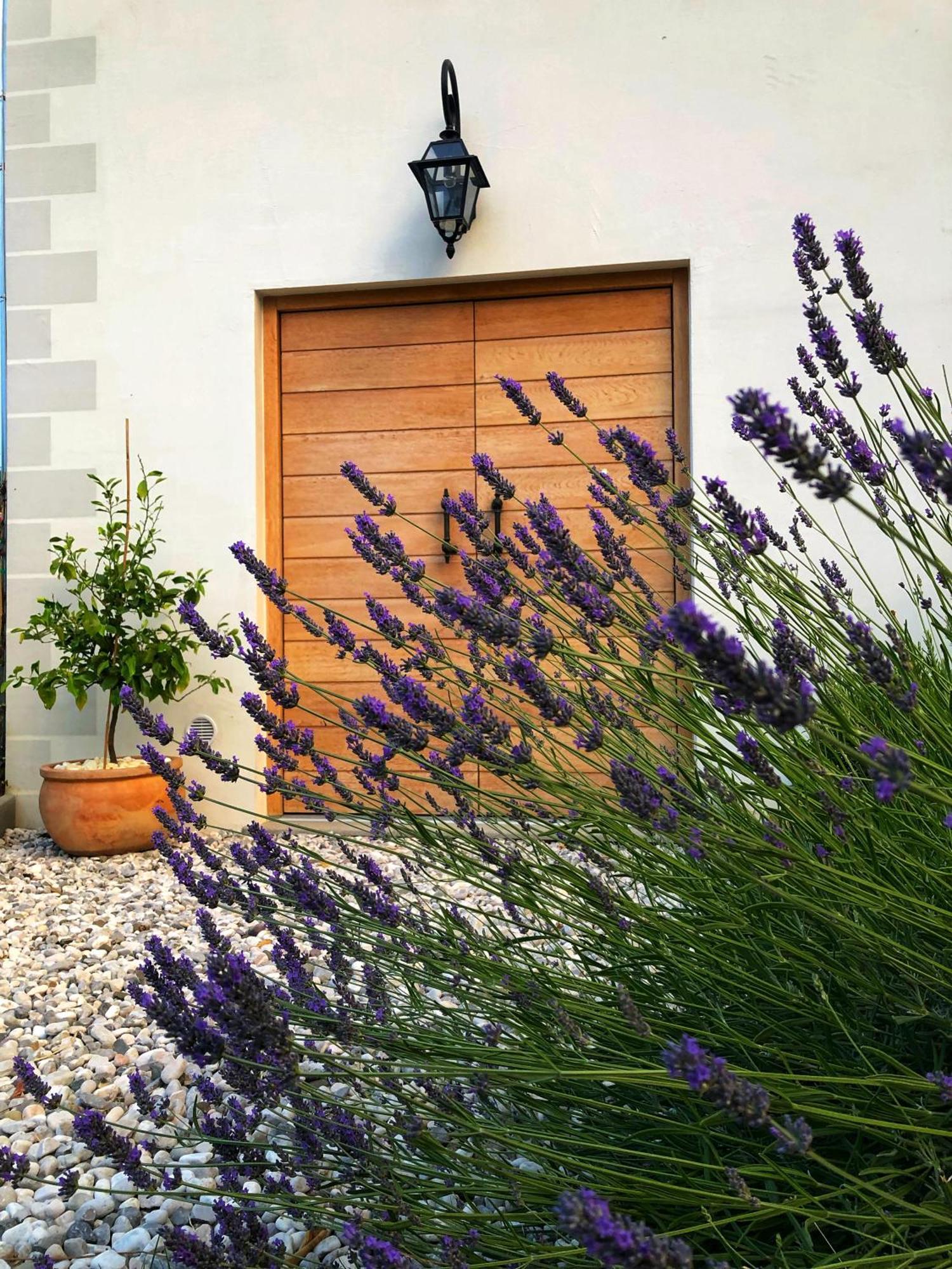 مبيت وإفطار Kojsko Peterc Vineyard Estate المظهر الخارجي الصورة