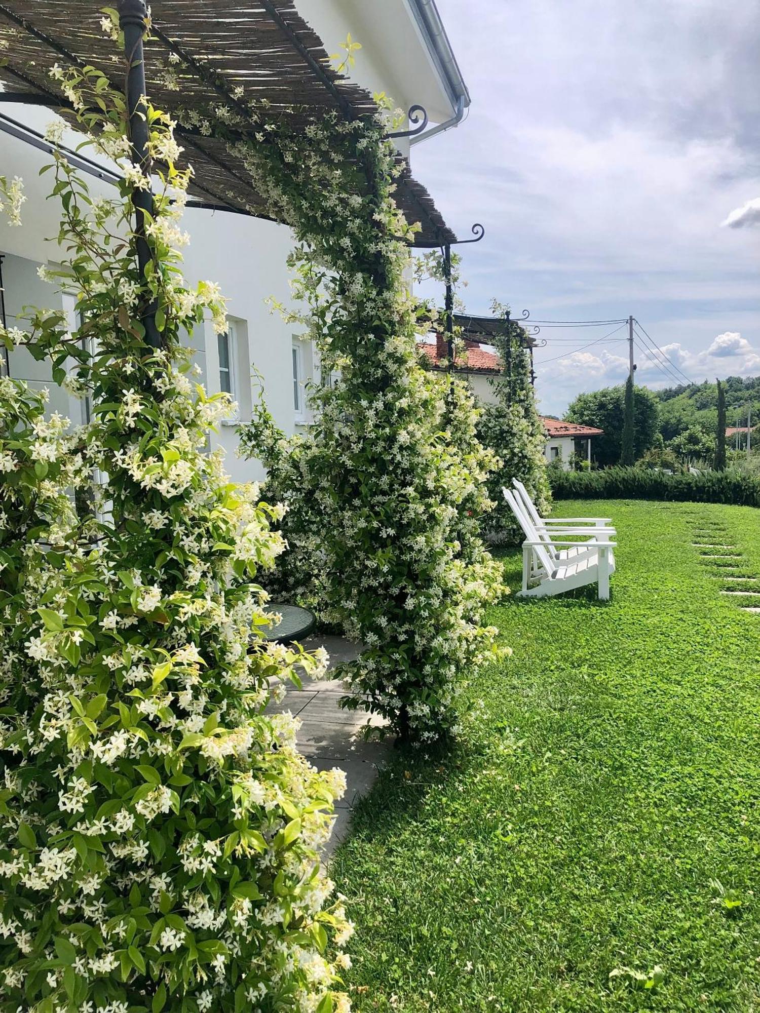 مبيت وإفطار Kojsko Peterc Vineyard Estate المظهر الخارجي الصورة